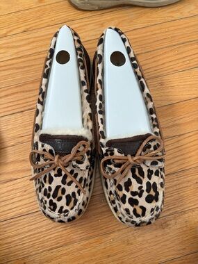 Leopard sperrys